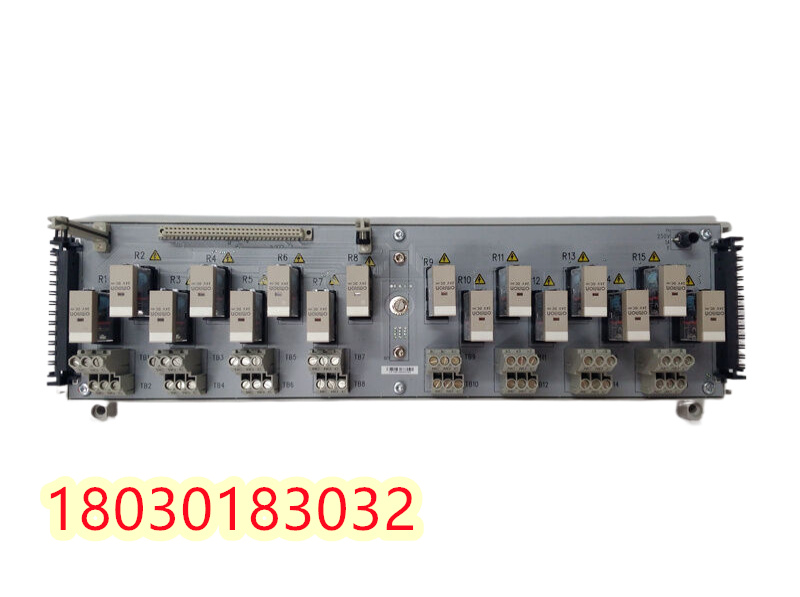 1C31223G01  艾默生继电器模块